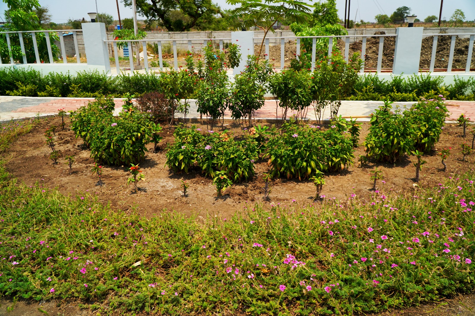 WhatsApp Image 2026-02-10 at 13.02.29